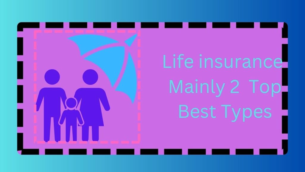 Life insurance Mainly 2 Top Best Types