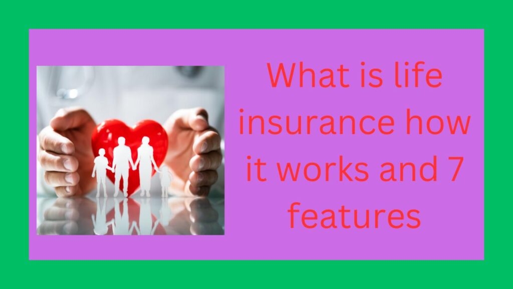 What is life insurance how it works and 7 features