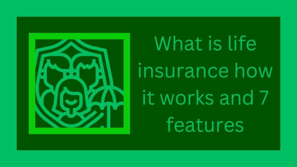 What is life insurance how it works and 7 features