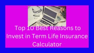 Top 10 Best Reasons to Invest in Term Life Insurance Calculator