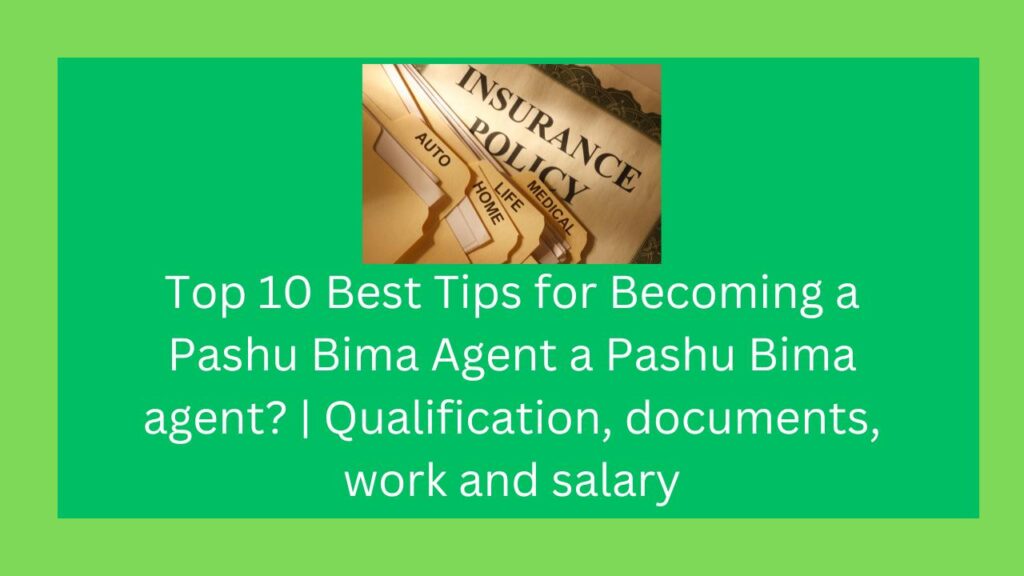 Top 10 Best Tips for Becoming a Pashu Bima Agent a Pashu Bima agent? | Qualification, documents, work and salary . Pashu Bima Agent बनने के लिए शीर्ष 10 सर्वोत्तम सुझाव | योग्यता, दस्तावेज, कार्य और वेतन